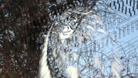 image_capturefilm2.png